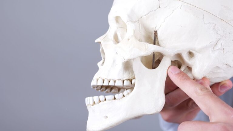 'articolazione temporo-mandibolare